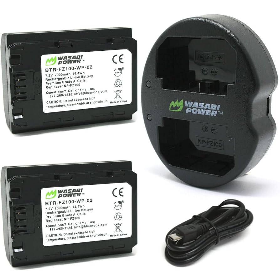 Amazon.com : Wasabi Power Battery (2-Pack) and Dual USB